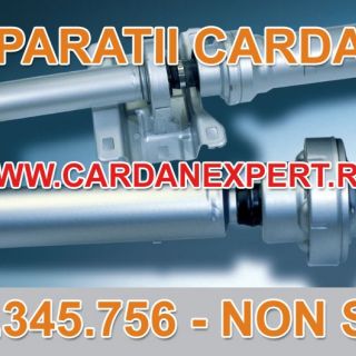 Reparatie Cardan VITO 109,111,112  CDI  